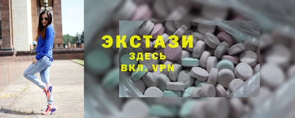 индика Зеленодольск