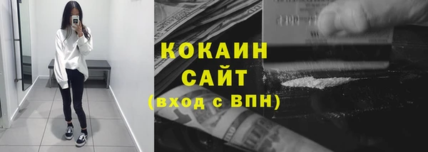 индика Зеленодольск