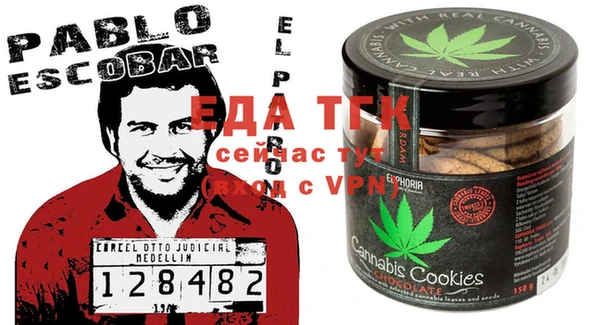 индика Зеленодольск