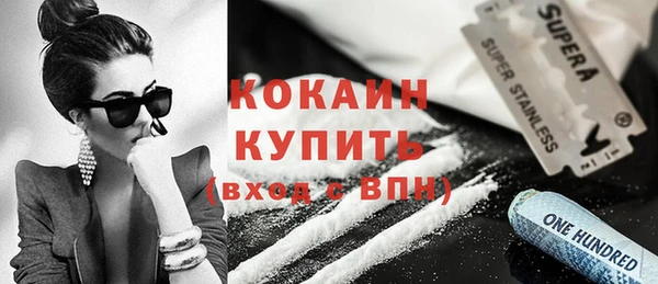 индика Зеленодольск