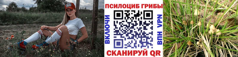 OMG   Зея  Галлюциногенные грибы MAGIC MUSHROOMS 